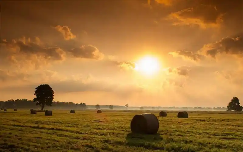 抖音最新最新说说 享受一个人的岁月静好_个性柚梓