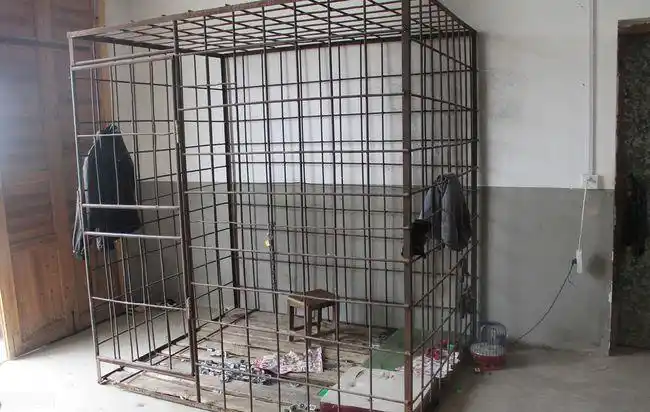 法子英关人的铁笼子图片