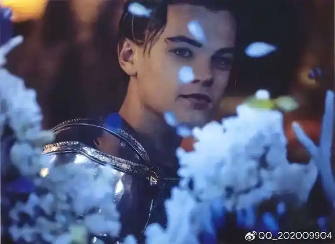 新晋奥斯卡影帝莱昂纳多主演电影大全(26部)