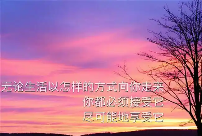 励志拼搏短句霸气2020让自己努力的句子