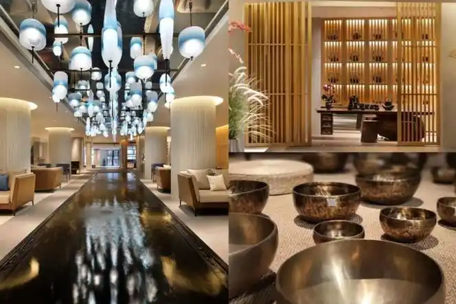 锦江酒店(中国区)呵护地球不止"一小时"|锦江酒店|esg_新浪新闻