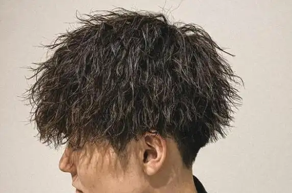 渣男锡纸烫是什么梗:锡纸烫发型的男生比较渣(火自抖音)