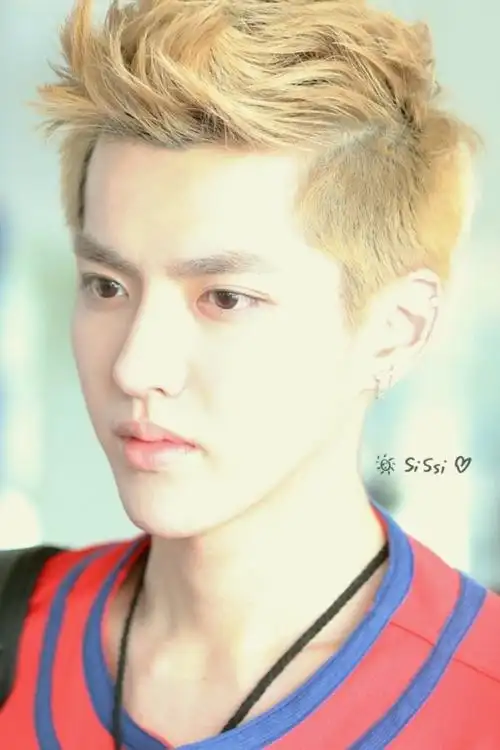 exo 吴亦凡 黄毛 帅哥(就说露出额头好看多了啊)