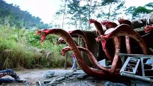 风趣看世界时 间:2019-08-30动物园里一条怪蛇,吞噬自己尾巴令人头皮