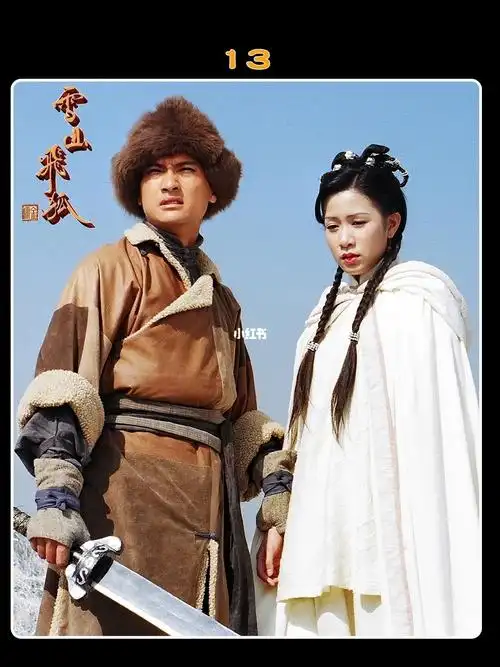 13.金庸武侠《雪山飞狐》