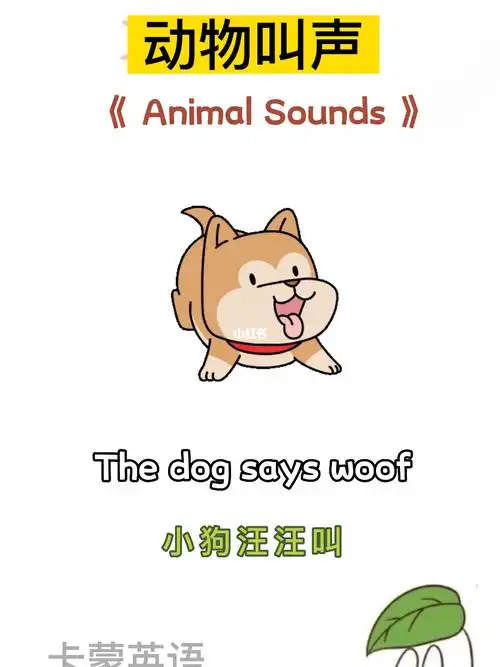 动物叫声animalsounds