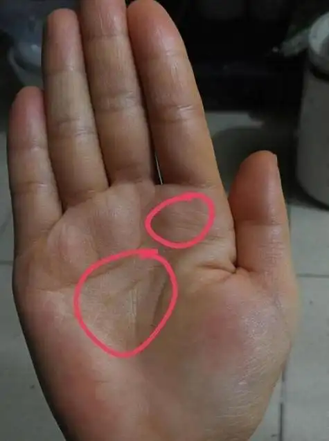 罕见福气手相 有福气的手相是什么样的