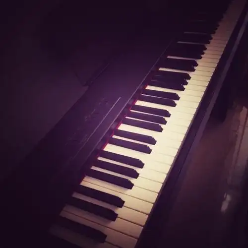 钢琴初学者,如何挑选一台电钢琴?