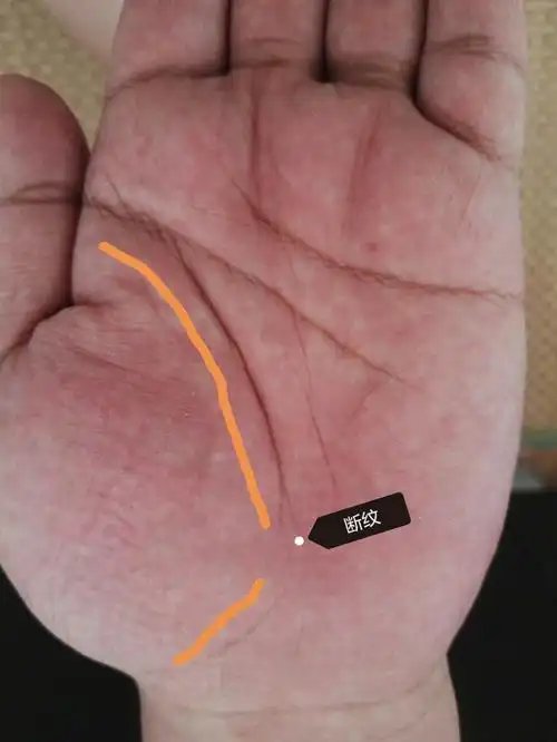 教你一眼就能看出自己是否长寿的秘诀 ——手纹隐含的生命密码