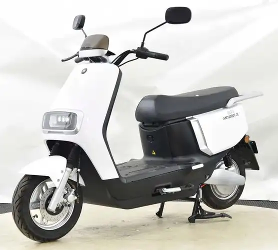 爱玛牌am1000dt-28电动两轮摩托车公告图片