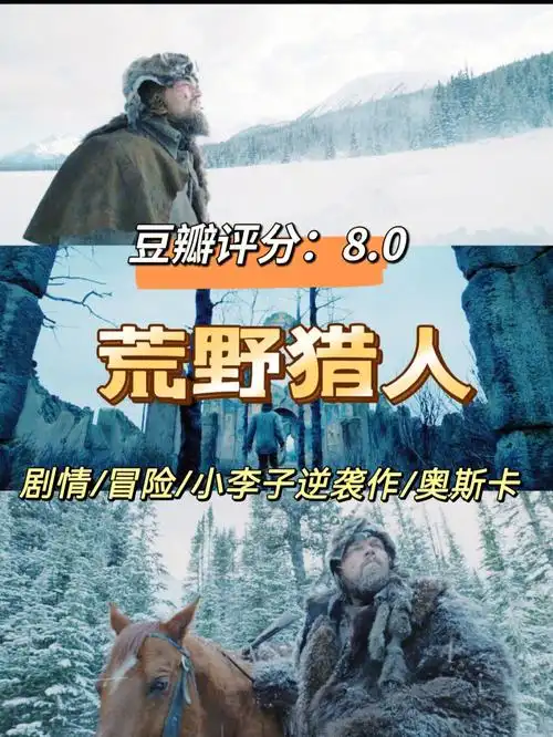 电影荒野猎人第七十三部