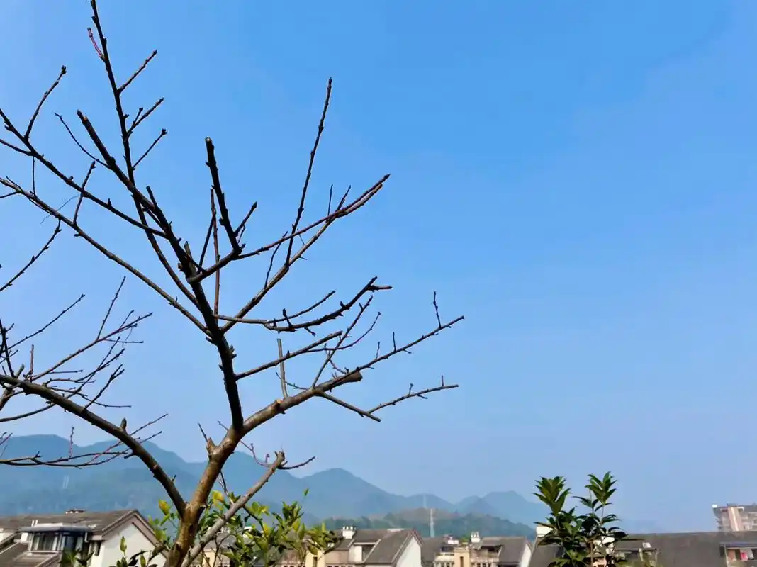 创作灵感 平凡生活并不是认输  无名之卒照样可以幸福 稳稳 - 抖音