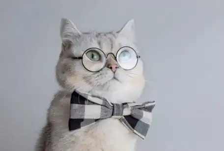 长期戴眼镜,会让眼睛变凸吗?_防控_镜片_度数