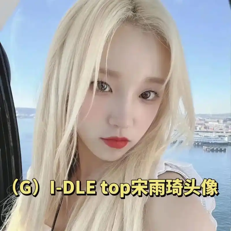 宋雨琦头像.#宋雨琦 #gidle组合 #giant宋雨琦  - 抖音