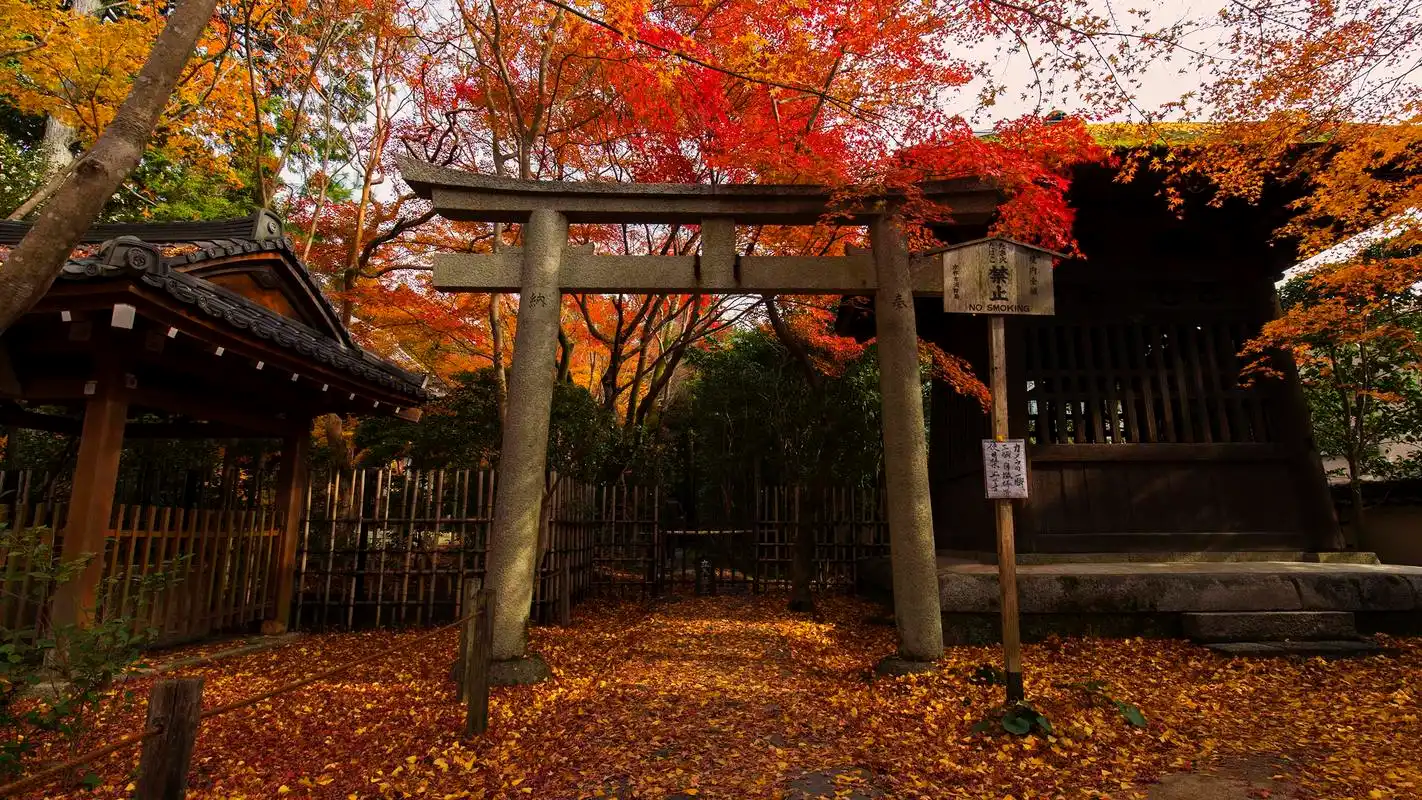 日式花园美景图片高清宽屏桌面壁纸