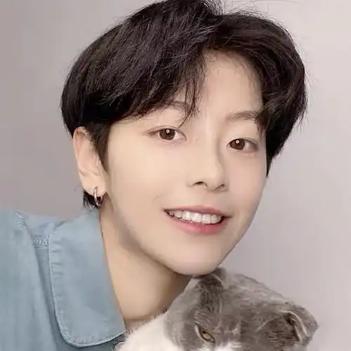 假发男短发韩版帅气男生中分发型真人发丝蓬松自然逼真网红头套男