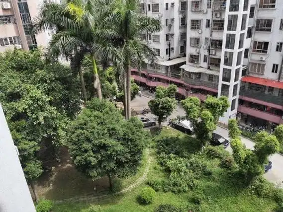 广州番禺大石金城花园金城花园 有绿化 游泳池出租房源真实图片