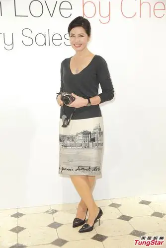 组图钟楚红办慈善摄影展不敢与周润发合作