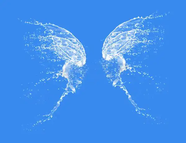 ta  展开全部 直接百度或谷歌图片里搜索 【水珠翅膀】,找没有水印的