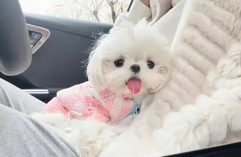 分享一波ipad壁纸