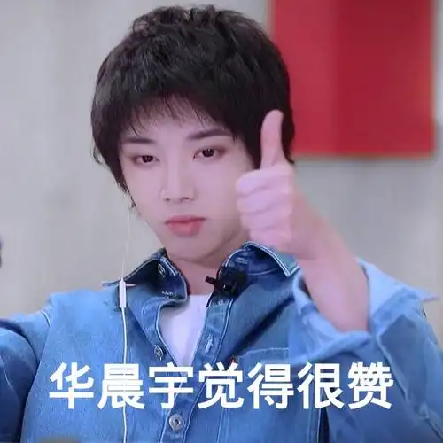 华晨宇表情包多图预警持续更新