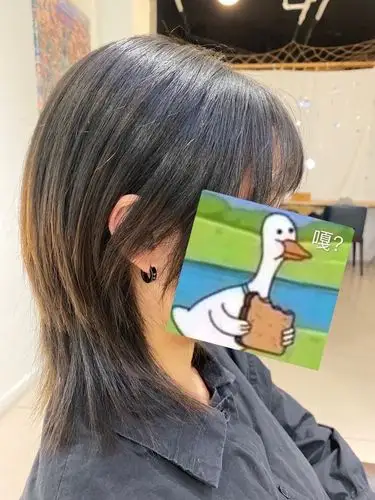 公主切狼尾可以冲吗在去理发店的路上了