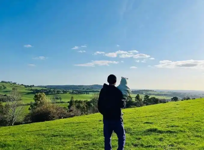 今天周杰伦更新ins了吗##周杰伦与小女儿牵手照