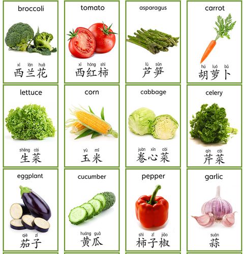 英语卡片防水启蒙闪卡蔬菜类23张 幼儿园儿童单词卡早教英文教具