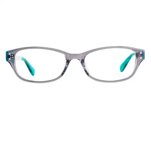 时尚个性近视眼镜框 女款潮板材眼睛框镜架 男 配眼镜2226 透明灰色