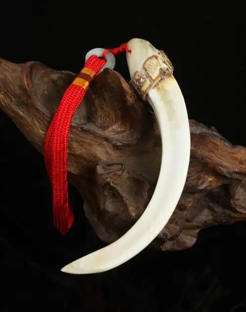 精选天然野猪牙把件/挂饰之弯月