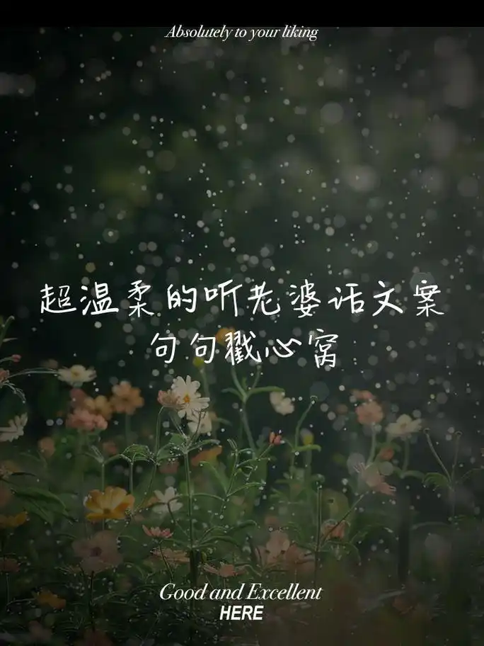 超温柔的听老婆话文案,句句戳心窝