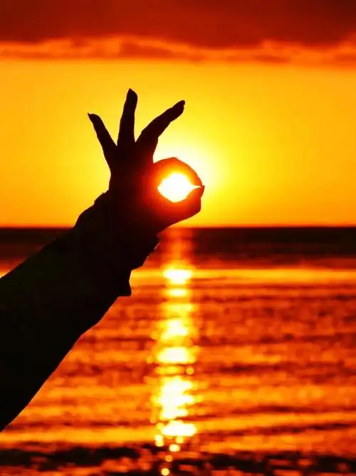 我在梦里 聆听春天看过的花海 随手翻开日历竟已隔年 阳光正晃着人眼