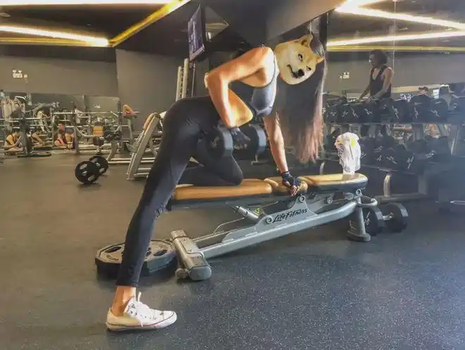 马甲线蜜桃臀爱泡健身房的姑娘到底有多性感食色性也