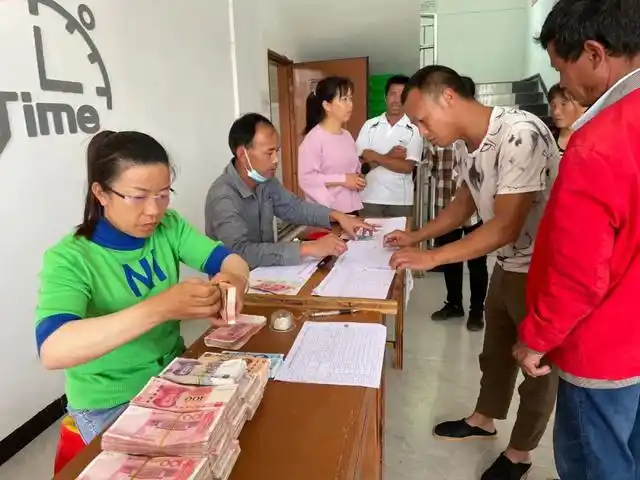 今日,小七孔镇拉欧村2022年生姜种植项目集中发放工资,150余名在基地