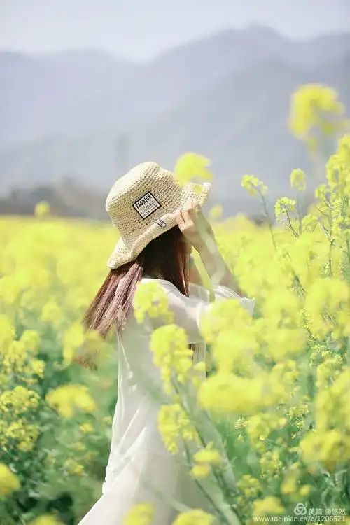 赏花 镜头下的美女们
