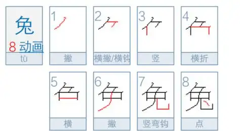 兔的笔顺怎么写