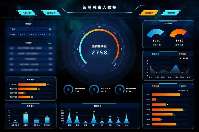 大数据平台展示