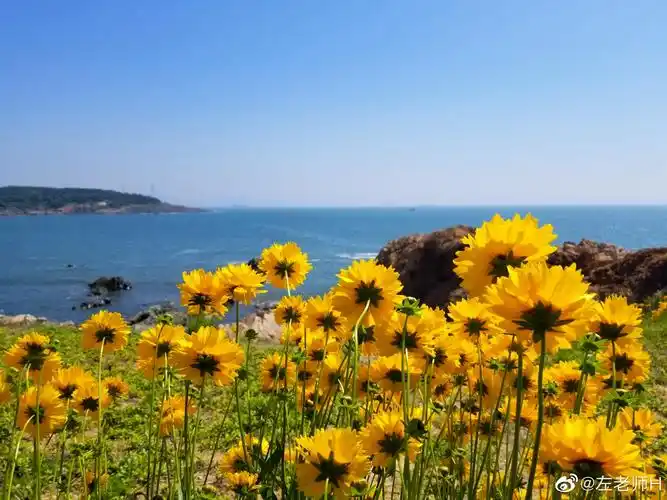 大美西海岸带你去看山花烂漫带你去看面朝大海