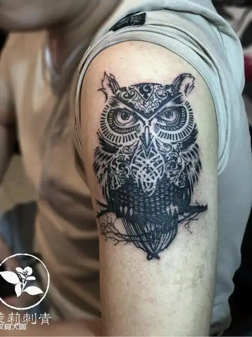 猫头鹰_纹身图案手稿图片_茉莉的纹身作品集