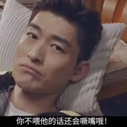 翰啊翰骚凹瑞近期张翰梗图合集