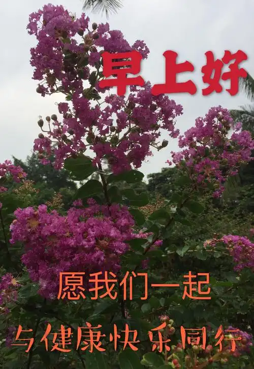 秀丽的美篇 - 美篇