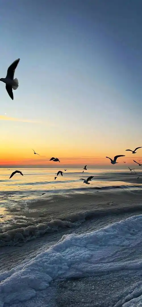 壁纸 | 小清新水果系列 锁屏壁纸