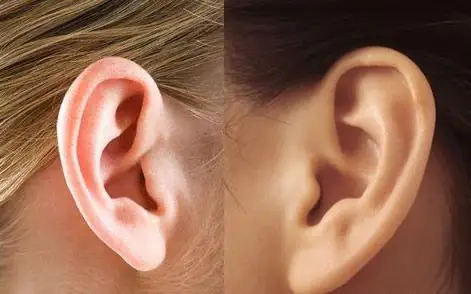 小耳朵的人,大多具有安静观察,耐心权衡的倾向,他们的适应性很强,比如