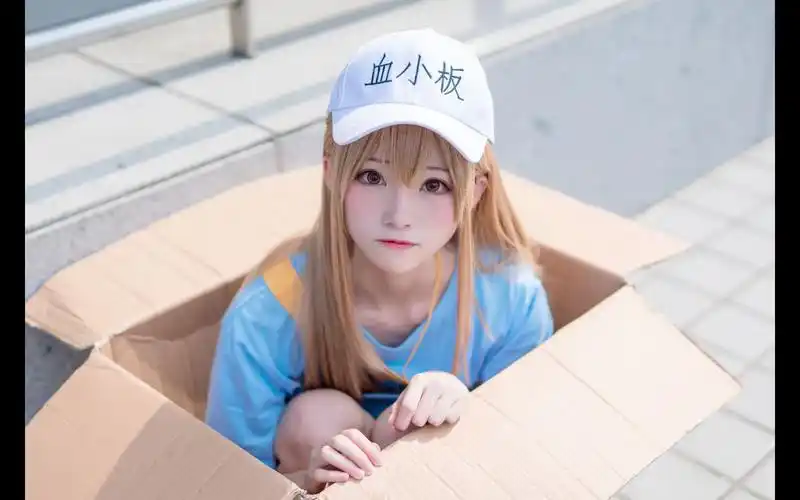 二次元cosplay丨工作细胞·血小板