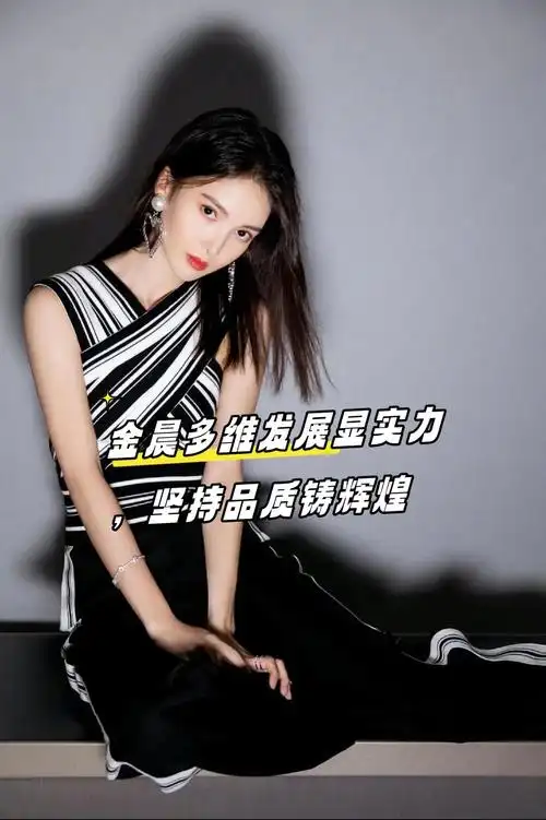 金晨多维发展显实力,坚持品质铸辉煌