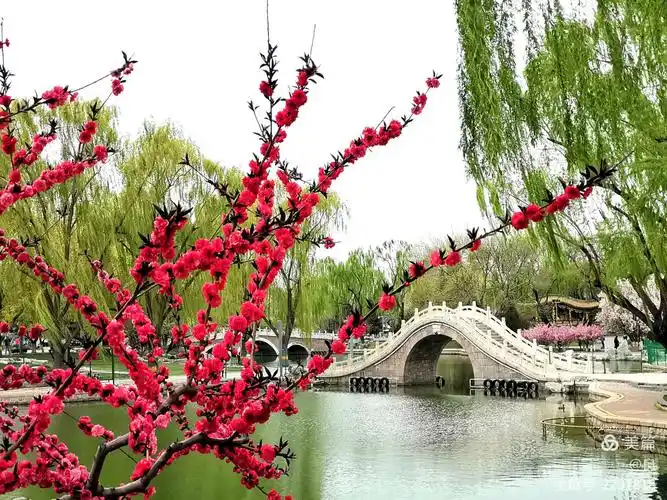 2020——春之花香 - 美篇