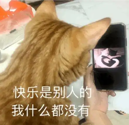 快乐是别人的 我什么都没有(猫咪表情包)
