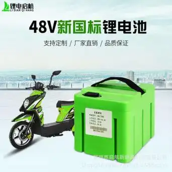 新国标48v台铃雅迪小刀款电动车锂电池
