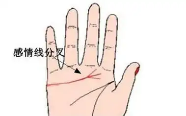 全新最齐的感情线分岔详解