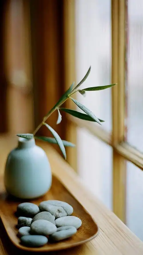 小清新静物唯美写真